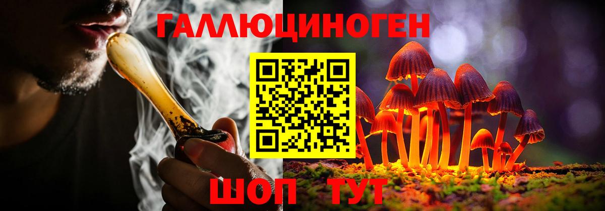 закладка  Вход с VPN  Реутов  Псилоцибиновые грибы прущие грибы 